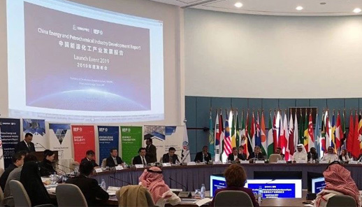 中国企业首次在海外发布能源化工全产业链发展报告