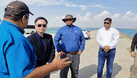 随拍沙特|沙漠海耕虾满仓