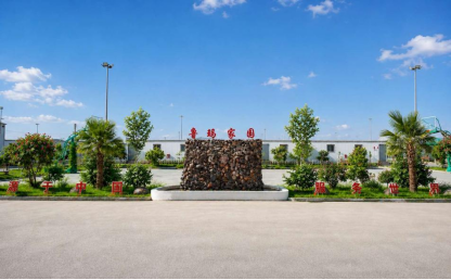 绿色绘就戈壁新卷 温情筑造丝路家园