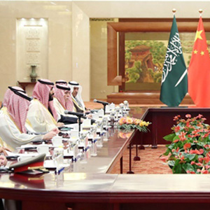 中沙高级别联合委员会第三次会议在京召开