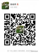 疫情期间焦虑不安怎么办？给他们打电话有用哦