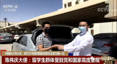 陈伟庆大使接受央视中文国际频道采访