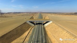 中沙关系丨强基固本，行稳致远，20载见证共同发展